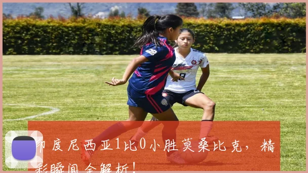 印度尼西亚1比0小胜莫桑比克,精彩瞬间全解析!